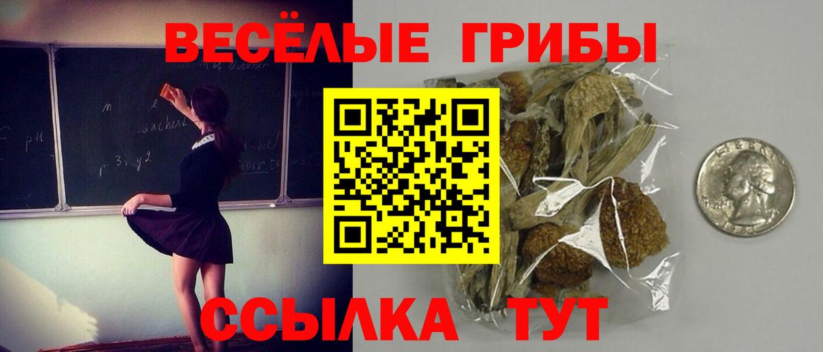 Псилоцибиновые грибы MAGIC MUSHROOMS Краснокамск